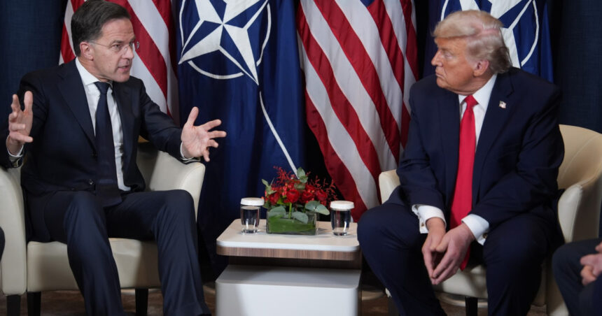 nato ia in considerare renuntarea la summiturile anuale pe fondul tensiunilor cu donald trump este mai bine 69f0db0cf3cb8