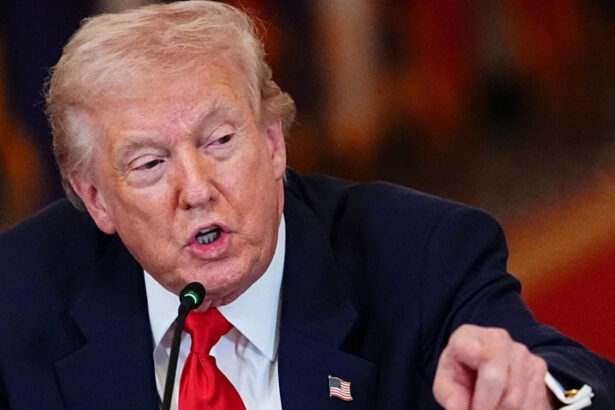 news alert donald trump ameninta ca se gandeste serios sa retraga sua din nato am stiut mereu ca e un tigru de hartie si putin stie asta 69ccee7769d71