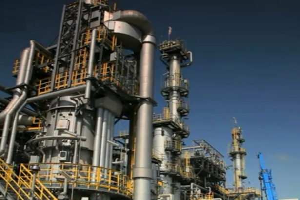 nicusor dan a anuntat cand ar putea fi repornita rafinaria petrotel 69f1d8776a25f