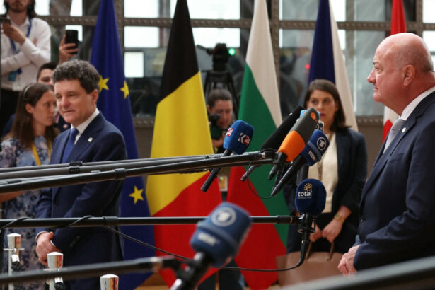 nicusor dan intrevedere cu cancelarul austriei christian stocker este important sa gasim solutii comune pentru crizele globale 69f19a96cd319
