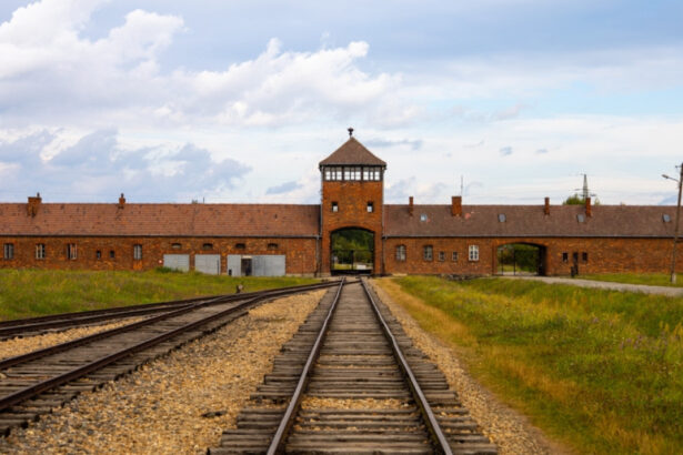 noua adolescenti au fost arestati dupa ce au intrat ilegal la auschwiz toti sunt de origine evreiasca 69e772d8bf533