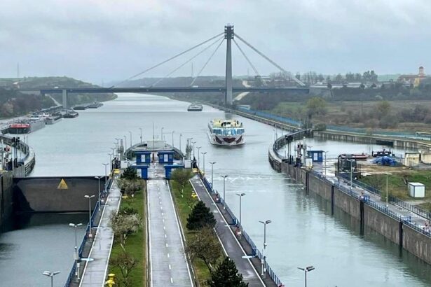 numere sonore si au incercat norocul pentru un loc in consiliul de administratie al acn constanta 69dd753838fa0