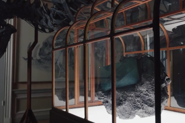 o geanta de mana facuta din colagen derivat din fosile de dinozaur va fi scoasa la licitatie pentru jumatate de milion de dolari 69d3318011fe1