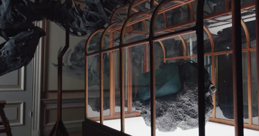 o geanta de mana facuta din colagen derivat din fosile de dinozaur va fi scoasa la licitatie pentru jumatate de milion de dolari 69d3318011fe1