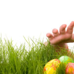 o vanatoare de oua de paste s a transformat intr o descoperire macabra dupa ce o familie a gasit un craniu uman langa los angeles 69d547c804743