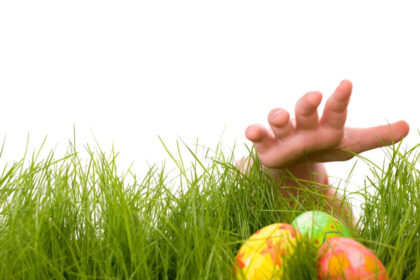 o vanatoare de oua de paste s a transformat intr o descoperire macabra dupa ce o familie a gasit un craniu uman langa los angeles 69d547c804743