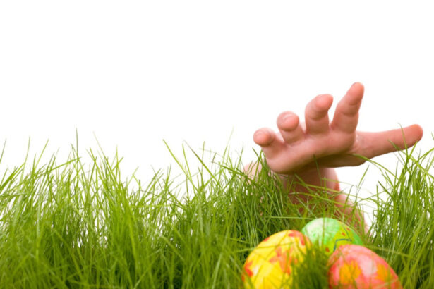 o vanatoare de oua de paste s a transformat intr o descoperire macabra dupa ce o familie a gasit un craniu uman langa los angeles 69d547c804743