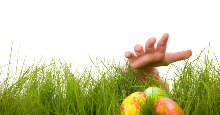 o vanatoare de oua de paste s a transformat intr o descoperire macabra dupa ce o familie a gasit un craniu uman langa los angeles 69d547c804743