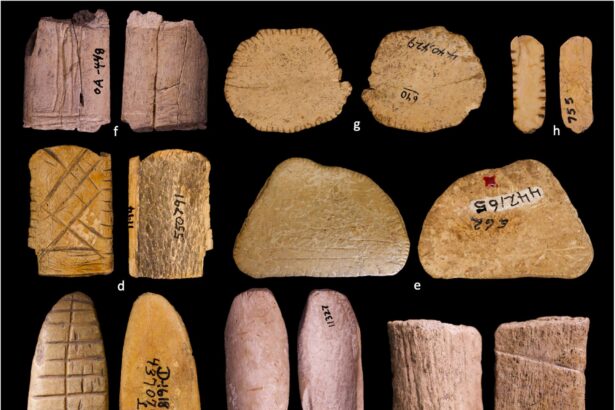 oamenii de stiinta au descoperit cele mai vechi zaruri din lume 69cfd1427e165