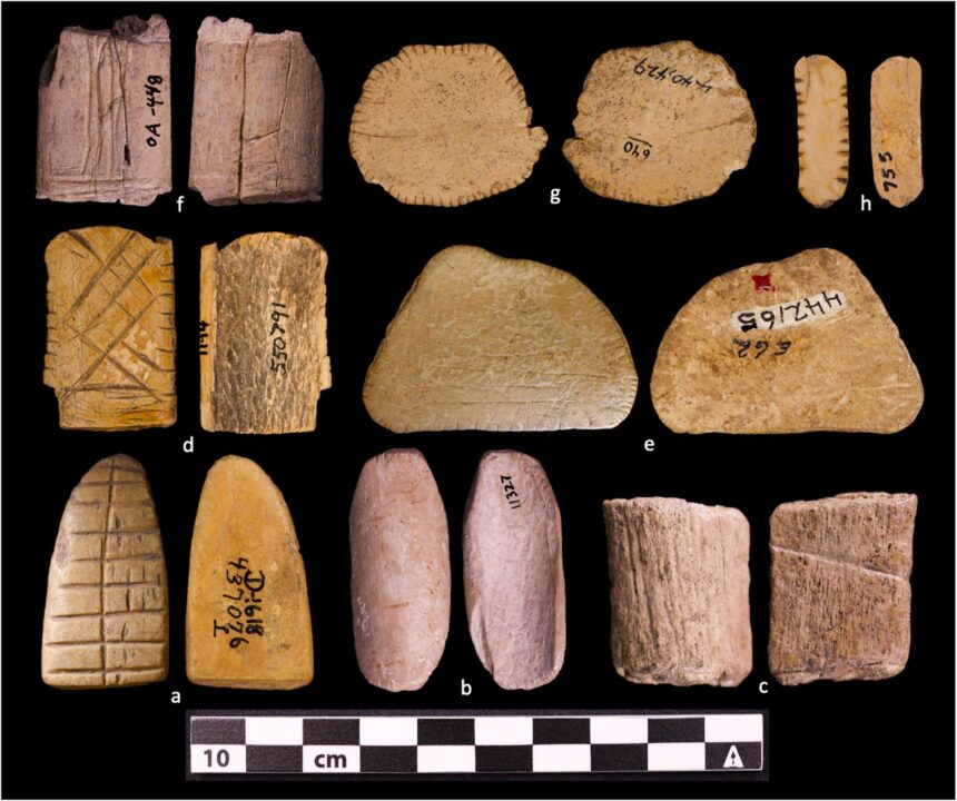 oamenii de stiinta au descoperit cele mai vechi zaruri din lume 69cfd1427e165