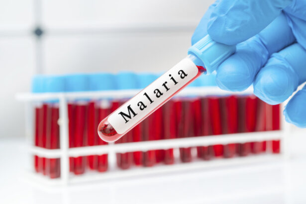 oms aproba in premiera un medicament impotriva malariei destinat sugarilor 69ec964cbfe49