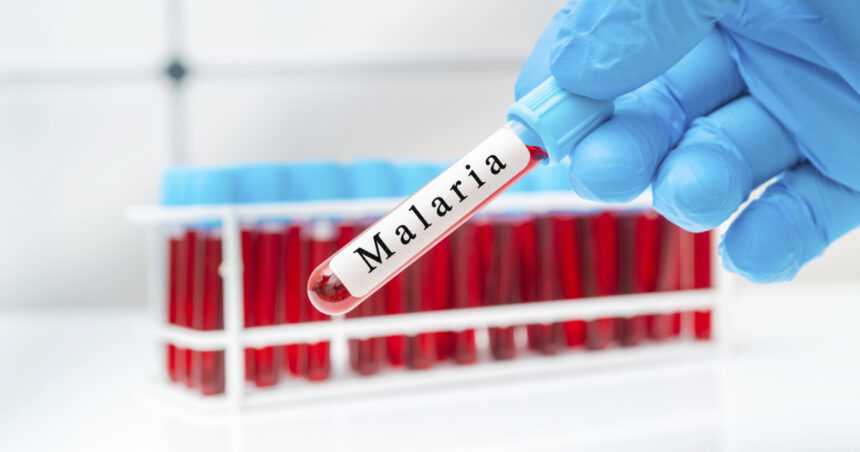 oms aproba in premiera un medicament impotriva malariei destinat sugarilor 69ec964cbfe49