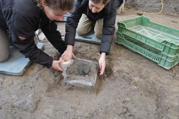 paine romana veche de 2 000 de ani descoperita intr o celebra tabara militara din elvetia 69f0f0b33b659