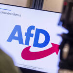 partidul german de extrema dreapta afd are un avans record fata de conservatorii cancelarului merz sondaj 69f120129834e