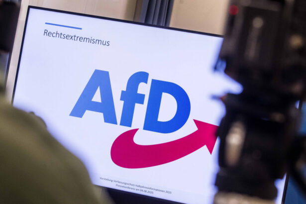 partidul german de extrema dreapta afd are un avans record fata de conservatorii cancelarului merz sondaj 69f120129834e