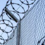 patru barbati cu mandat de executare a pedepsei escortati si incarcerati in penitenciarul poarta alba 69d63d67c3aff