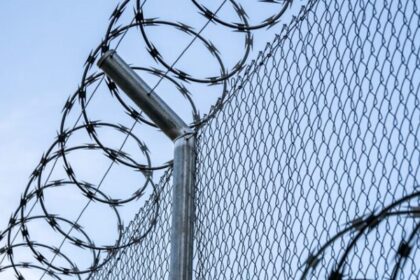 patru barbati cu mandat de executare a pedepsei escortati si incarcerati in penitenciarul poarta alba 69d63d67c3aff