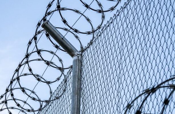 patru barbati cu mandat de executare a pedepsei escortati si incarcerati in penitenciarul poarta alba 69d63d67c3aff