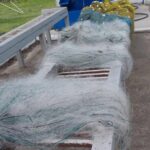 patru sturioni 65 kg de peste capturat ilegal si peste 1 500 metri de plase descoperite de politistii de frontiera tulceni 69eb2ebbdefa8