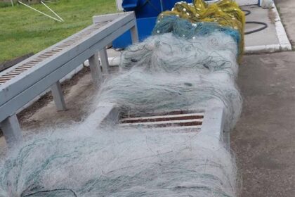 patru sturioni 65 kg de peste capturat ilegal si peste 1 500 metri de plase descoperite de politistii de frontiera tulceni 69eb2ebbdefa8