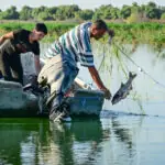 pescarii din delta dunarii au scumpit pestele din cauza costurilor cu carburantii trebuie sa acoperim pierderile 69d3d23b5b8a8