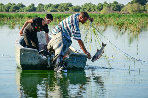pescarii din delta dunarii au scumpit pestele din cauza costurilor cu carburantii trebuie sa acoperim pierderile 69d3d23b5b8a8