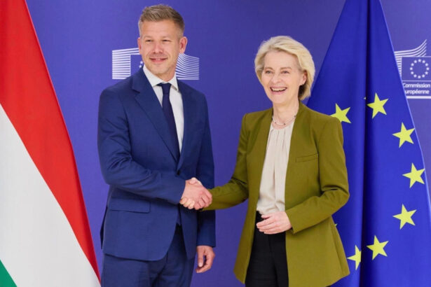 peter magyar spune ca a avut o intalnire extrem de constructiva cu ursula von der leyen 69f2f1af4f3b6