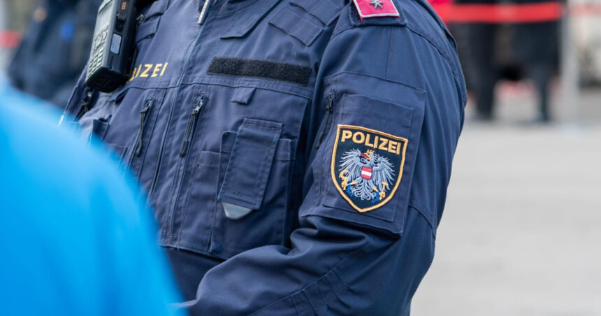 politia din viena a retinut o banda de escroci formata aproape in totalitate din romani 69db955f4dfc8