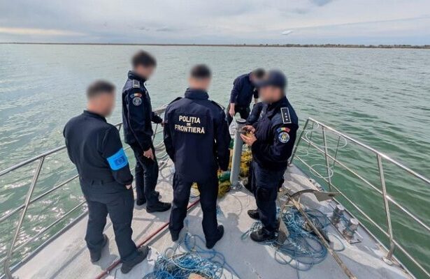politistii de frontiera au salvat 17 sturioni prinsi in plase ilegale pe marea neagra 69f33e6ccb298