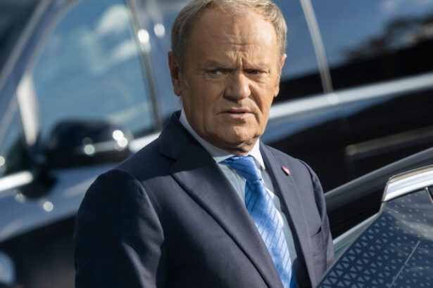 polonia va construi o flota de drone cu ajutorul expertizei ucrainene 69ef585062018