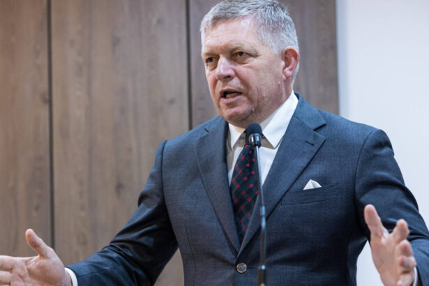 premierul slovac robert fico reactioneaza dupa alegerile din ungaria si ii promite o cooperare stransa lui peter magyar 69dc998465388