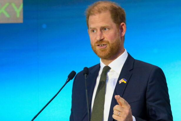 printul harry apel catre sua de la kiev democratia nu este inevitabila ce mesaj ii transmite lui putin 69eb0f7835b53