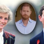 printul harry un nou atac brutal la adresa regelui charles ce s a intamplat dupa ce a murit printesa diana 69e601d87c2fb