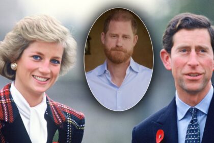 printul harry un nou atac brutal la adresa regelui charles ce s a intamplat dupa ce a murit printesa diana 69e601d87c2fb