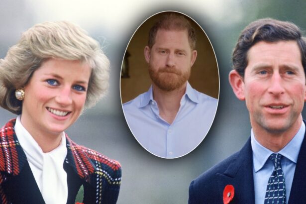 printul harry un nou atac brutal la adresa regelui charles ce s a intamplat dupa ce a murit printesa diana 69e601d87c2fb