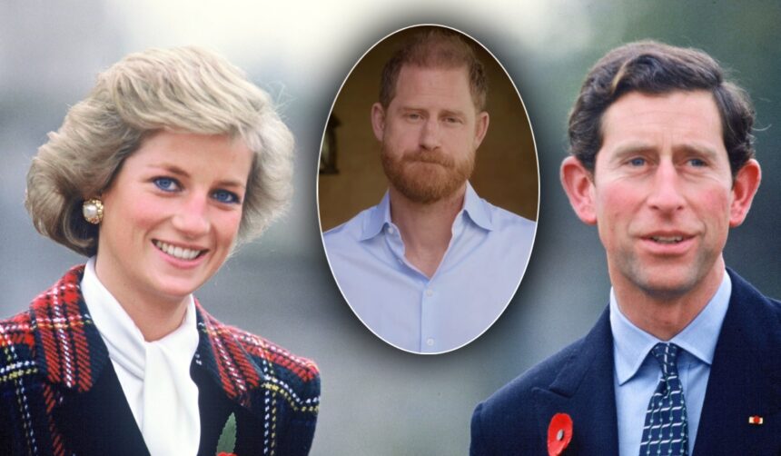 printul harry un nou atac brutal la adresa regelui charles ce s a intamplat dupa ce a murit printesa diana 69e601d87c2fb