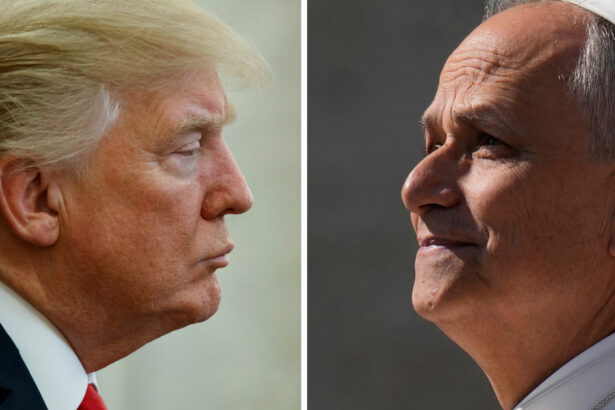 razboiul lui donald trump cu papa leon prin ochii catolicilor maga este bine pentru biserica si este bine pentru democratie 69e454c83b06e