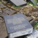 reactia ambasadei israelului in romania dupa vandalizarea cimitirului evreiesc din reghin 69df6ab60cc51