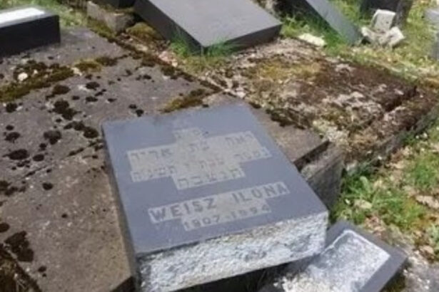 reactia ambasadei israelului in romania dupa vandalizarea cimitirului evreiesc din reghin 69df6ab60cc51