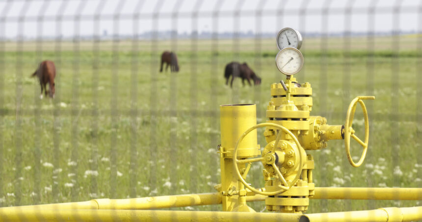 record de adancime in proiectul de extractie de gaze caragele a patra sonda romgaz a atins 5 256 de metri sapati 69d4e42bc30c5