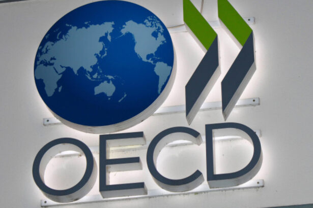 romania la un pas de aderarea la ocde un proces transformator pentru romania afirma oana toiu 69ced0622fe5f