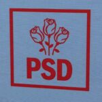 se amana alegerile la psd constanta 69e0ae23d462b