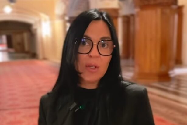 se cauta solutii pentru functionarea plajelor in legalitate matichescu psd cand cresti costurile pentru operatori fie prin taxe fie prin chirii exagerate nota de plat 69cfb5745f7fe