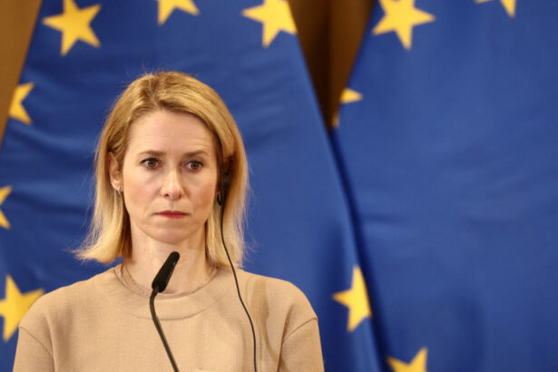 sefa diplomatiei ue dupa incidentul armat de la dineul lui trump violenta politica nu are ce cauta intr o democratie 69edf1d759aad