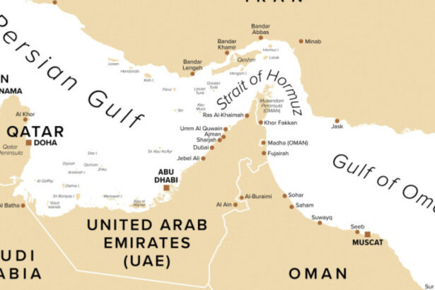 seful agentiei maritime a onu nicio tara nu are dreptul de a bloca navigatia in stramtoarea ormuz 69dd1bba62fa8