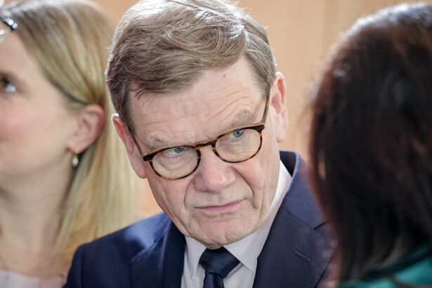 seful mae german sustine renuntarea la principiul unanimitatii prin care ue ia majoritatea deciziilor sa fim mai capabil sa actionam 69d0f7cddf2ea