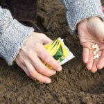 singura tara din lume care isi poate acoperi integral hrana din resurse proprii cum sta romania intr un astfel de clasament mondial 69df199ce333f