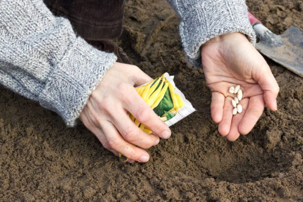 singura tara din lume care isi poate acoperi integral hrana din resurse proprii cum sta romania intr un astfel de clasament mondial 69df199ce333f