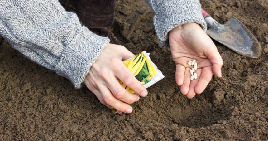 singura tara din lume care isi poate acoperi integral hrana din resurse proprii cum sta romania intr un astfel de clasament mondial 69df199ce333f