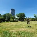 spatiul verde de la perla tot mai aproape de beton cine sunt politcienii care au pus la cale investitia din mamaia 69dc0e8a05f1b